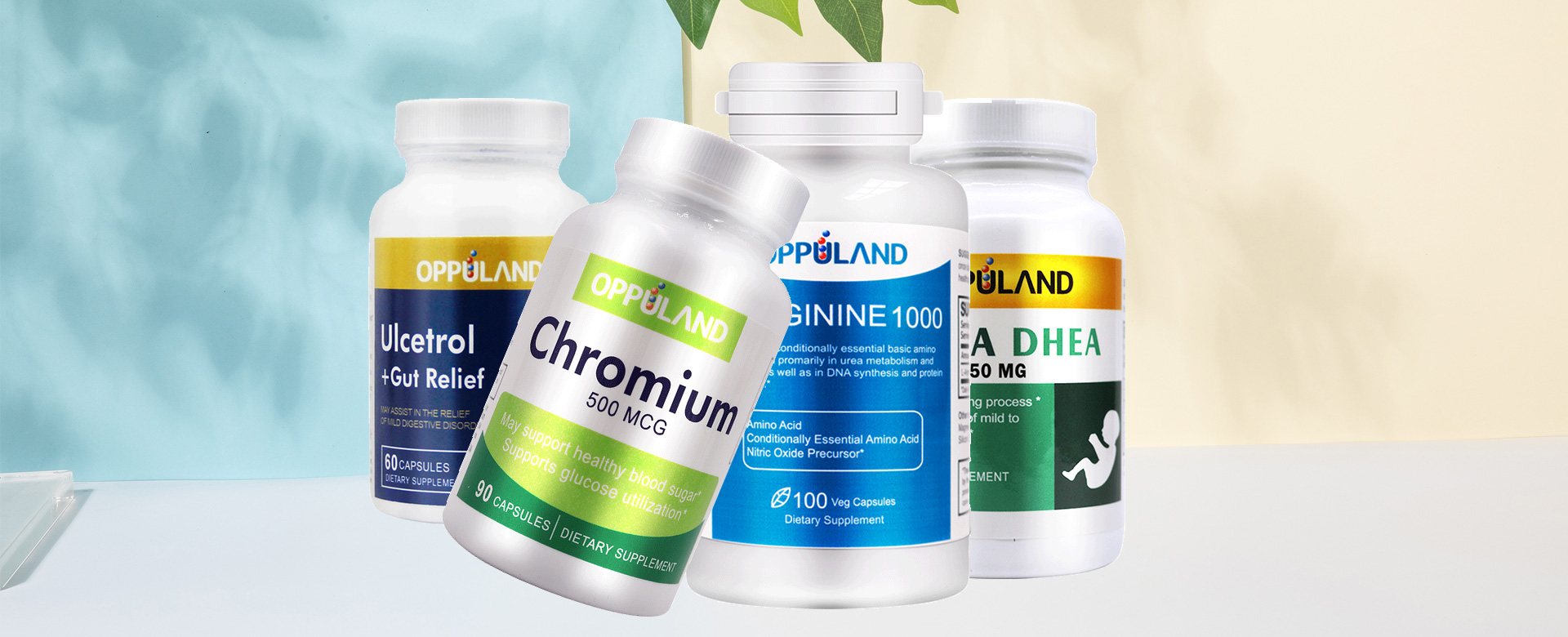 NutritionRite - Nutrition Rite